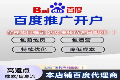 竞价推广策略：某电商平台的成功之路